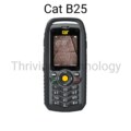 Cat B25
